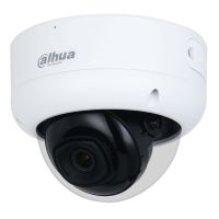 Dahua Dome Security Cameras