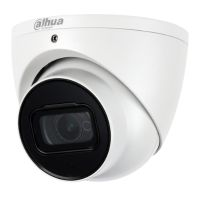 Collection image for: Dahua Turret Security Cameras