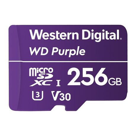 256GB Surveillance MicroSD Card