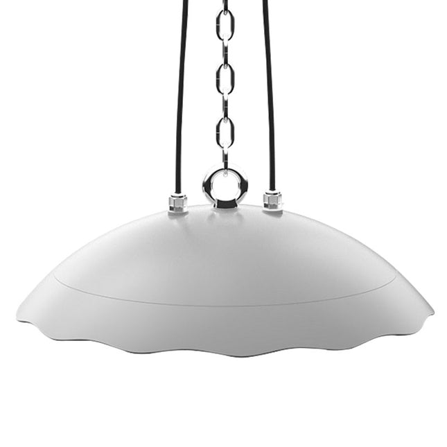 Professional 100W Food Grade LED High Bay Light (4000K)