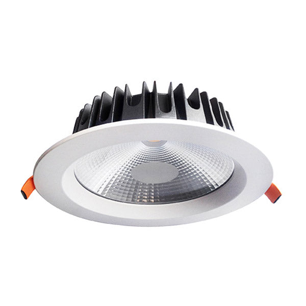 20W Commercial Fixed Dimmable LED Downlight (6000K)